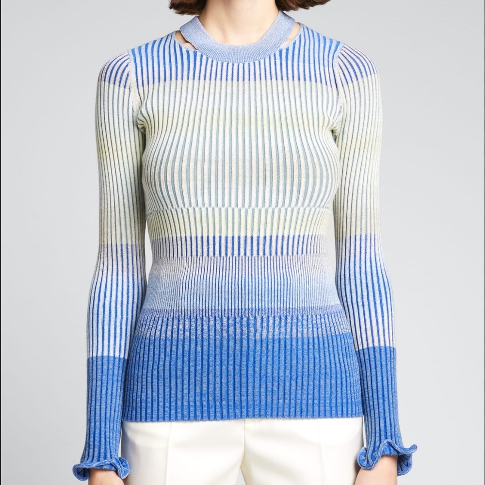 Jonathan Simkhai Striped Blue and White Sweater